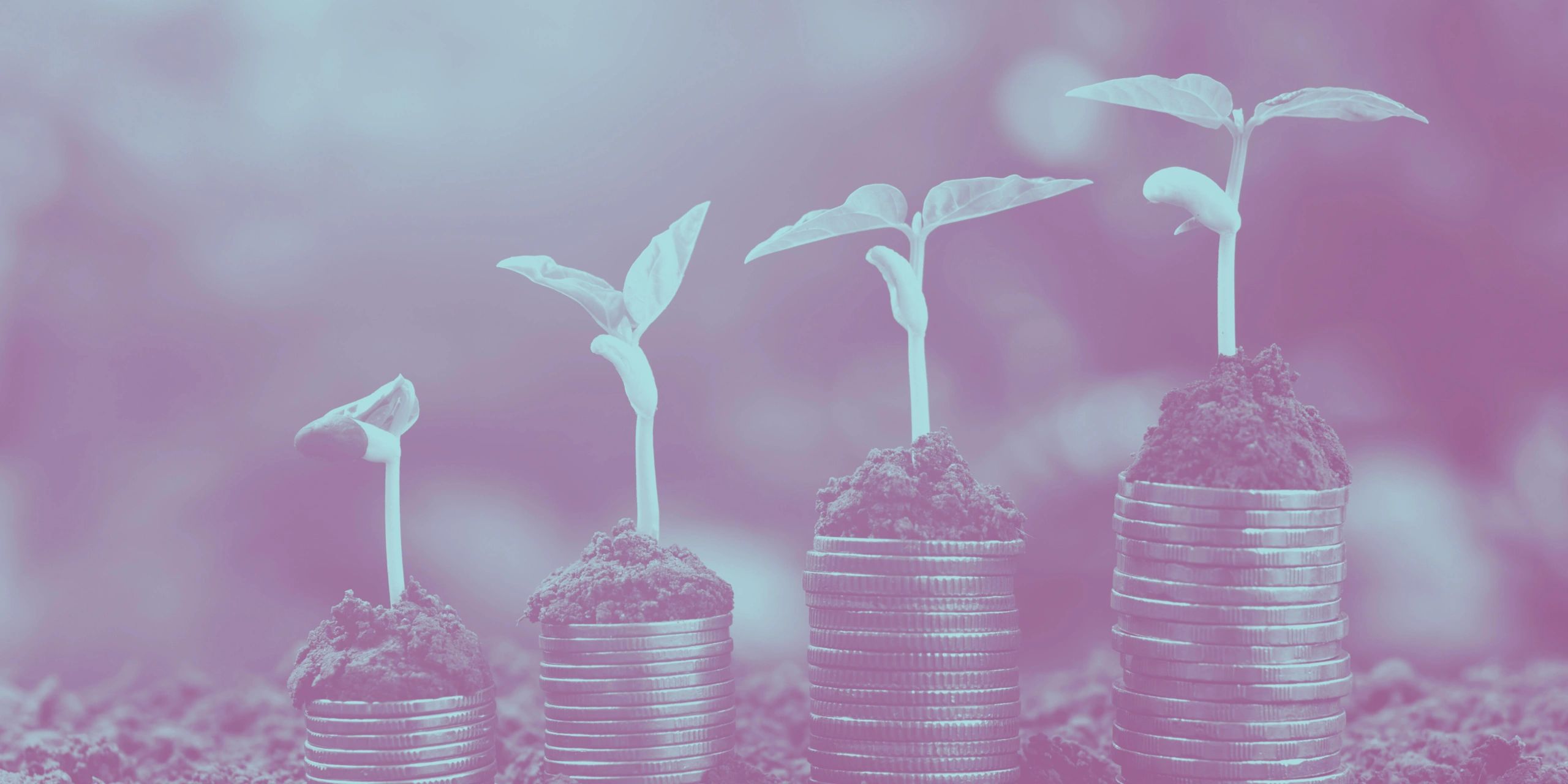 investing in uae real estate